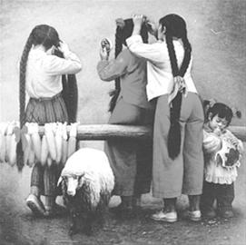 少女辫子粗又长